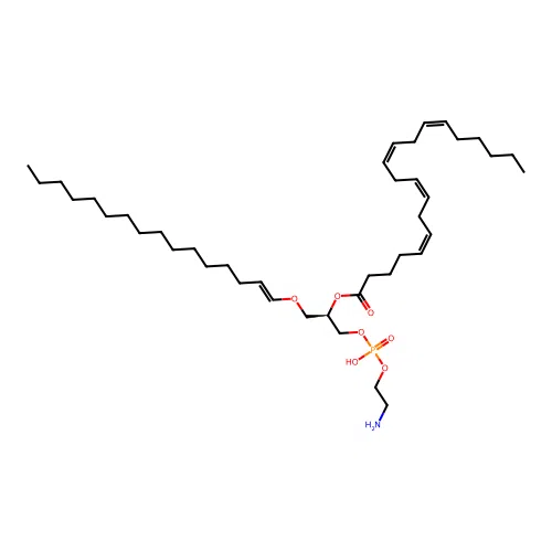 1-Palmitoyl-2-arachidonoyl plasmalogen phosphatidylethanolamine structure