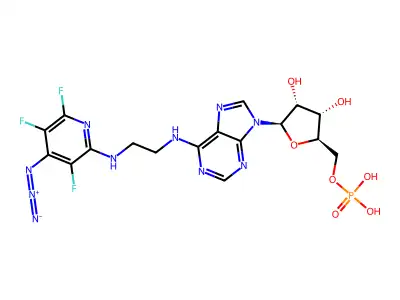 N(6)-Azido-tfp-amp structure