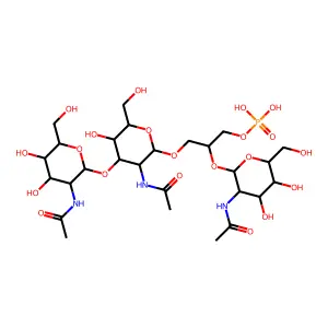 Capsular polysaccharide type 6, actinobacillus pleuropneumoniae structure