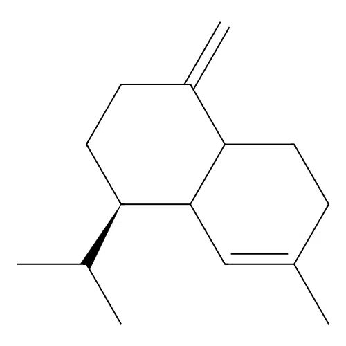 delta-Muurolene structure