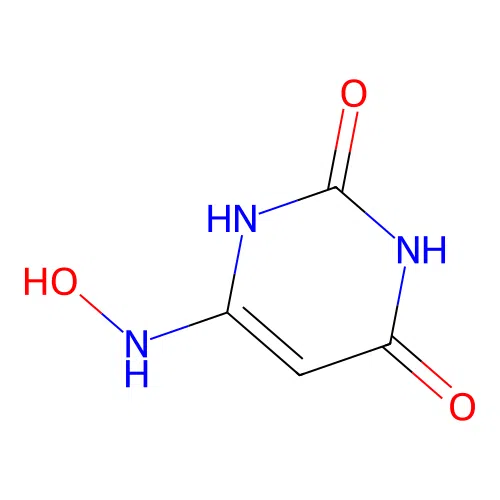 6-(Hydroxyamino)pyrimidine-2,4(1H,3H)-dione structure