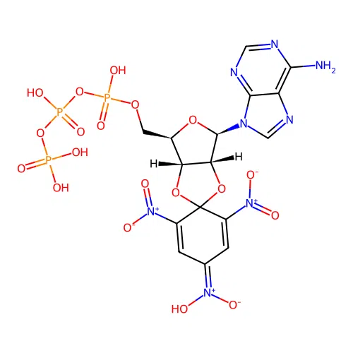 Spiro(2,4,6-trinitrobenzene[1,2A]-2O',3O'-methylene-adenine-triphosphate structure