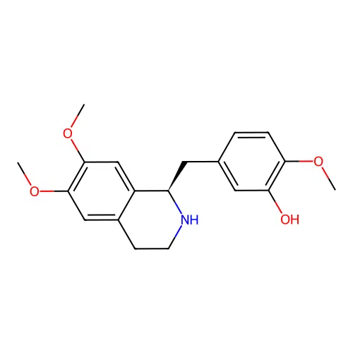 (R)-N-Norlaudanidine structure