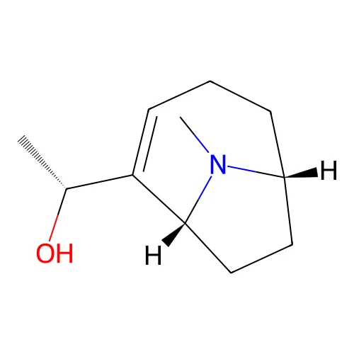 N-Methylanatoxin structure