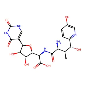 Nikkomycin pseudo-Z structure