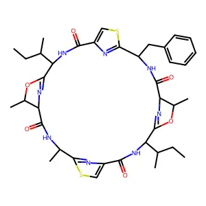 Patellamide D structure