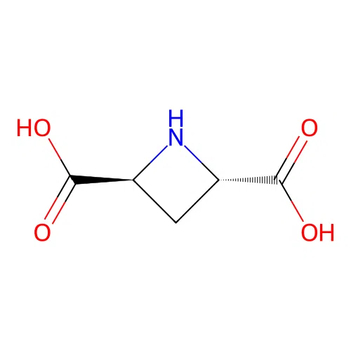 trans-Azetidine-2,4-dicarboxylic acid structure