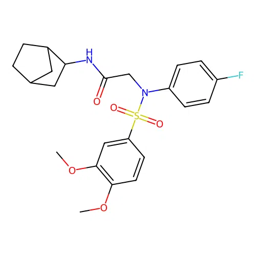N-(3-bicyclo[2.2.1]heptanyl)-2-(N-(3,4-dimethoxyphenyl)sulfonyl-4-fluoroanilino)acetamide structure