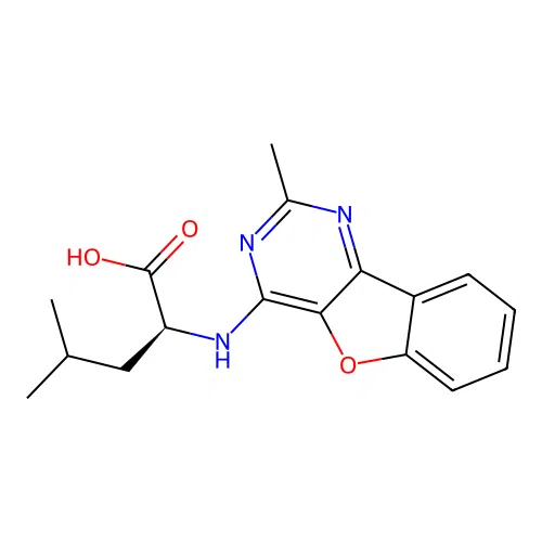 (S)-4-methyl-2-((2-methylbenzofuro[3,2-d]pyrimidin-4-yl)amino)pentanoic acid structure
