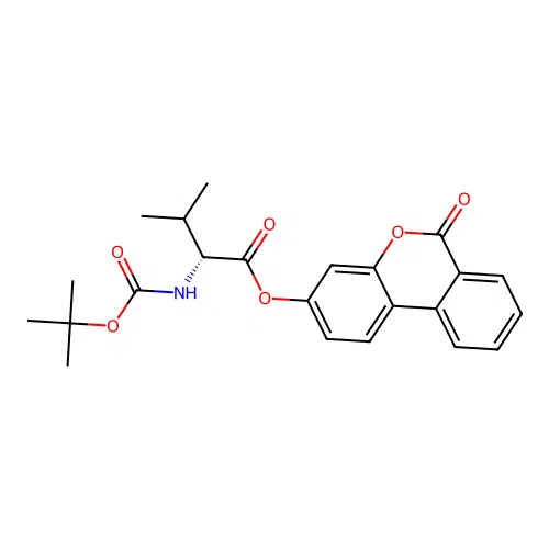 6-oxo-6H-benzo[c]chromen-3-yl N-(tert-butoxycarbonyl)-D-valinate structure