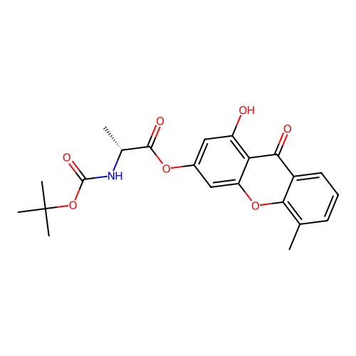 1-hydroxy-5-methyl-9-oxo-9H-xanthen-3-yl N-(tert-butoxycarbonyl)-D-alaninate structure