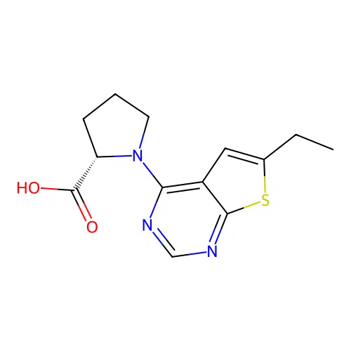 (2S)-1-(6-ethylthieno[2,3-d]pyrimidin-4-yl)pyrrolidine-2-carboxylic acid structure