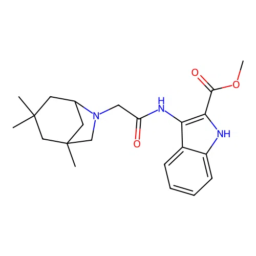 methyl 3-(2-((1R,5S)-1,3,3-trimethyl-6-azabicyclo[3.2.1]octan-6-yl)acetamido)-1H-indole-2-carboxylate structure