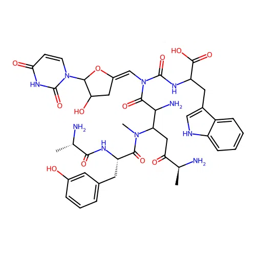Pacidamycin 1 structure
