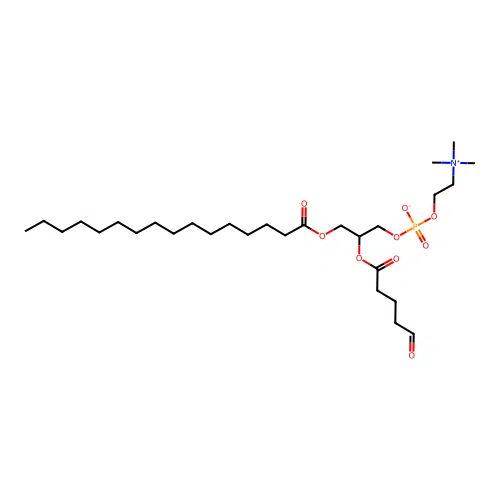 POVPC structure