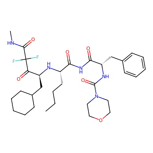 CP 81282 structure