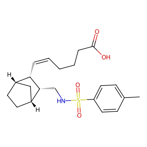 Ono-NT 125 structure