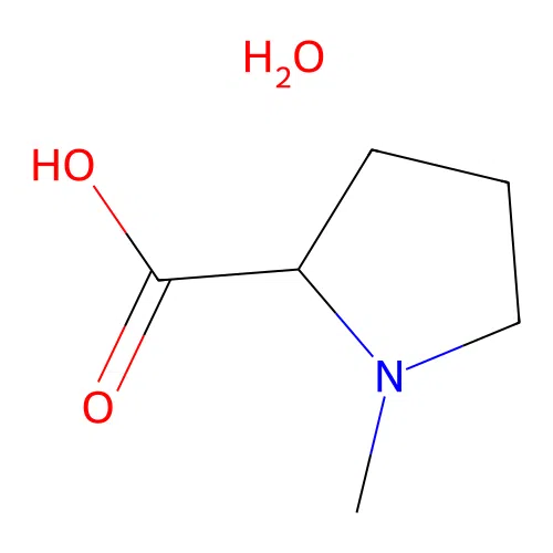 1-methylpyrrolidine-2-carboxylic Acid Hydrate structure
