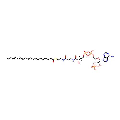 Eicosapentaenoic acid-coenzyme A structure