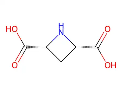 (2R,4S)-azetidine-2,4-dicarboxylic acid structure