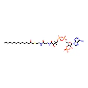S-(2-Oxopentadecyl)-coenzyme A structure