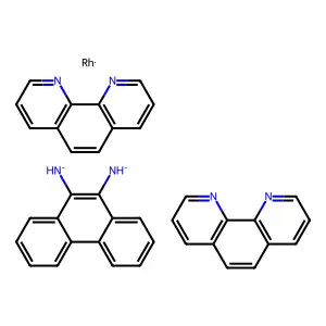 Rh(Phen)2phi3+ structure
