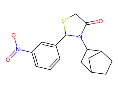 3-Bicyclo[2.2.1]hept-2-yl-2-(3-nitro-phenyl)-thiazolidin-4-one structure