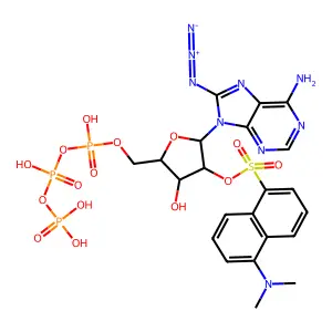 8-azido-2'-O-dansyladenosine triphosphate structure