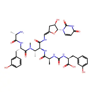 Pacidamycin 3 structure