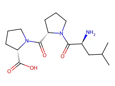 Leucyl-prolyl-proline structure