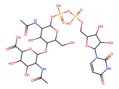Udp-glcnac-mannaca structure