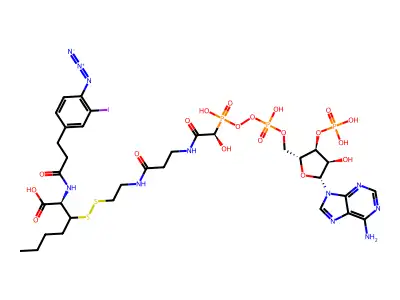 Act-CoA structure