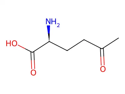5-Oxo-L-Norleucine structure
