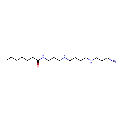 Heptanamide, N-[3-[[4-[(3-aminopropyl)amino]butyl]amino]propyl]- structure