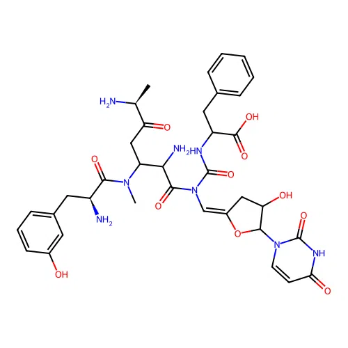Pacidamycin 5 structure