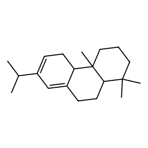 Levopimaradiene structure