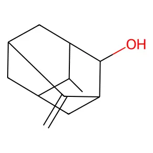 4-Methyl-8-methylenetricyclo[3.3.1.13,7]decan-2-ol structure
