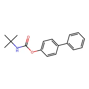 (4-Phenylphenyl) N-tert-butylcarbamate structure