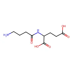 N-(gamma-Aminobutyryl)glutamic acid structure
