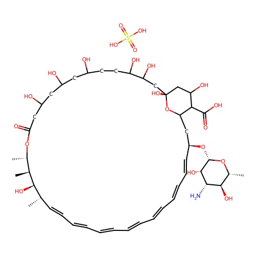 Sulfated amphotericin B structure