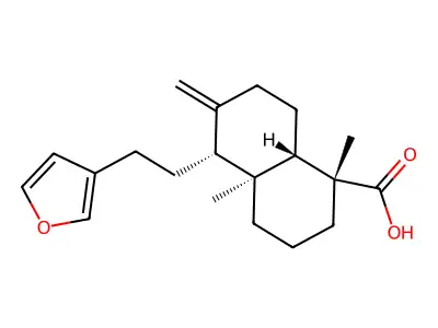 Lambertianic acid structure