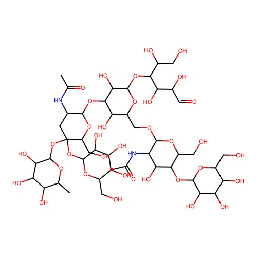 lacto-N-fucoheptaose structure
