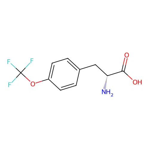 (2R)-2-amino-3-[4-(trifluoromethoxy)phenyl]propanoic acid structure
