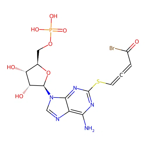 2-Bdb-tcamp structure