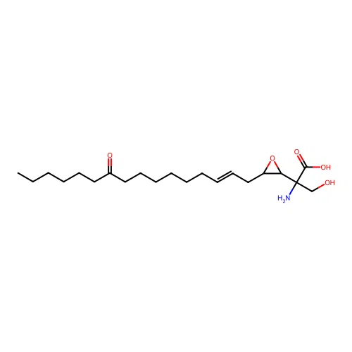 Flavovirin structure