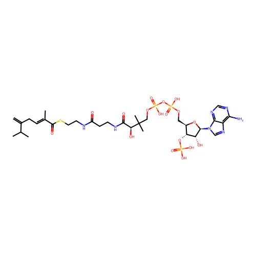 c0885 structure