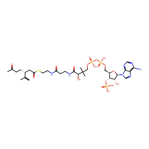 (3R)-3-Isopropenyl-6-oxoheptanoyl-CoA structure