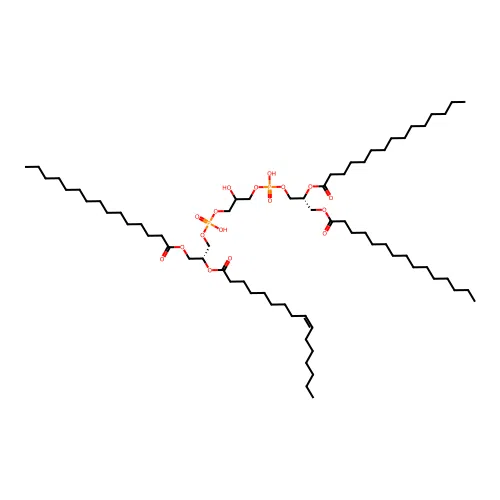 CL(61:0) structure