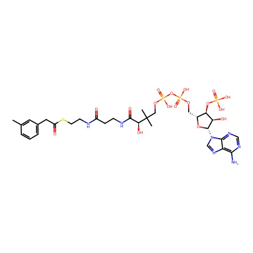 3-Tolylacetyl-coenzyme A structure
