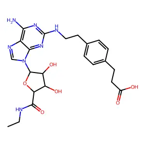 Cgs 21680 structure